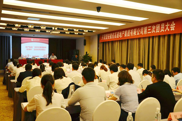 1111-地產(chǎn)集團第三次團員大會.JPG
