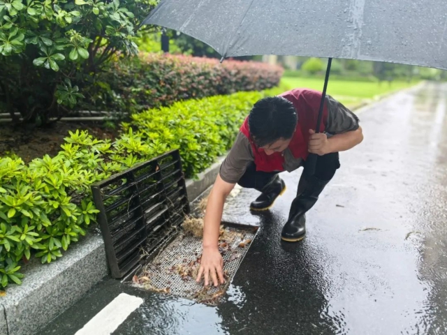 1754962355950396.jpg 07.jpg